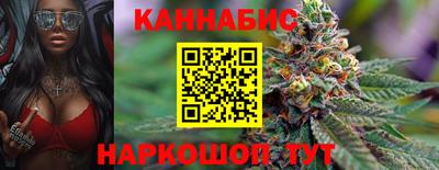 spice Дубна