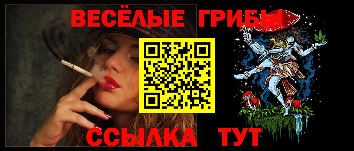 Малгобек  Галлюциногенные грибы Psilocybine cubensis  Вход с VPN 